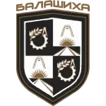 Team Logo