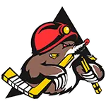 Opponent Logo